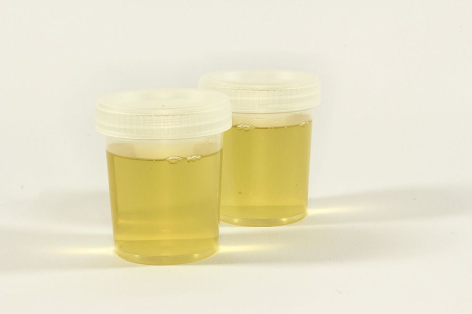 fake urine test